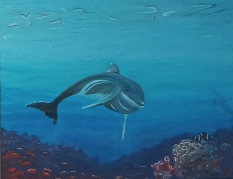 Dolphin