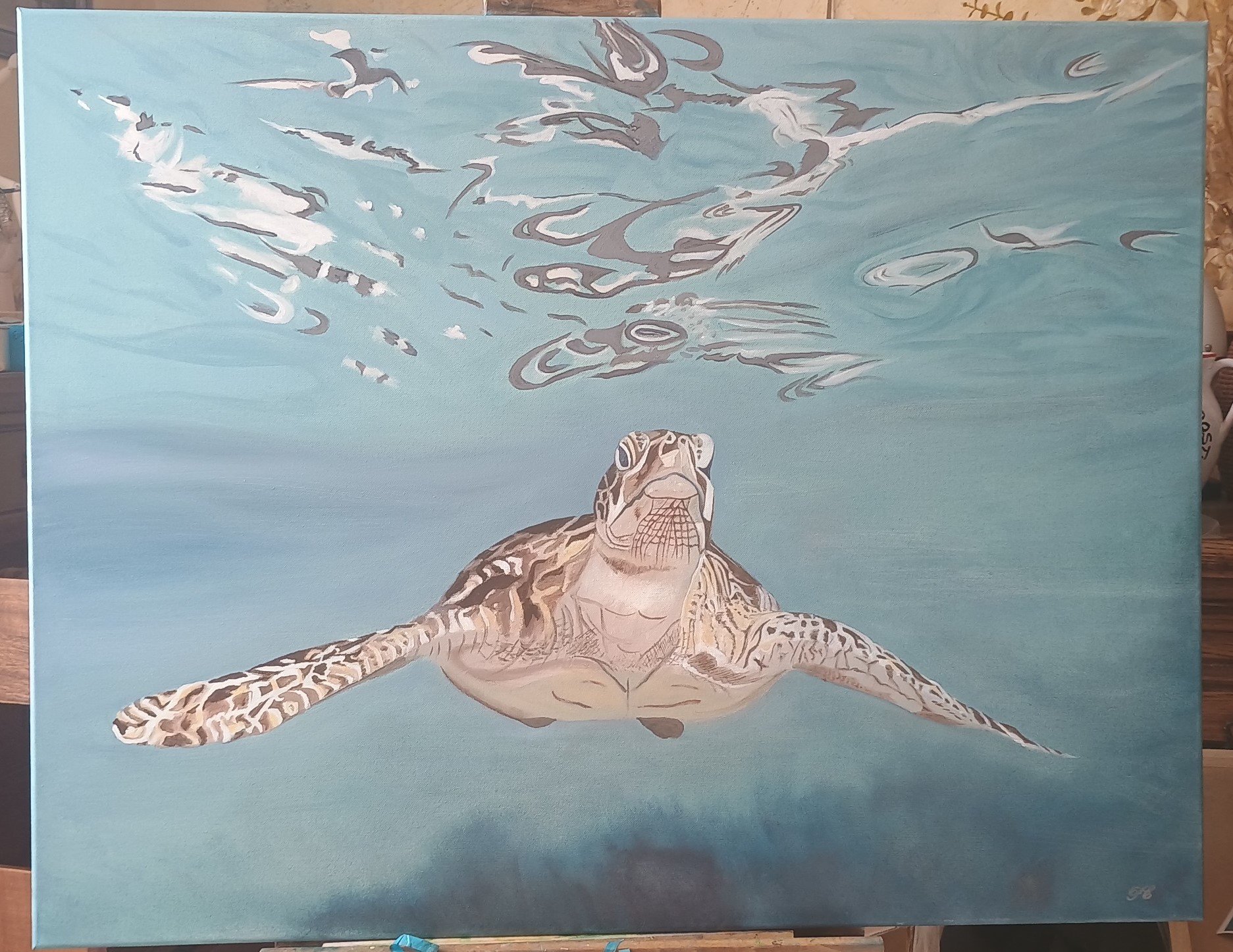 Free turtle